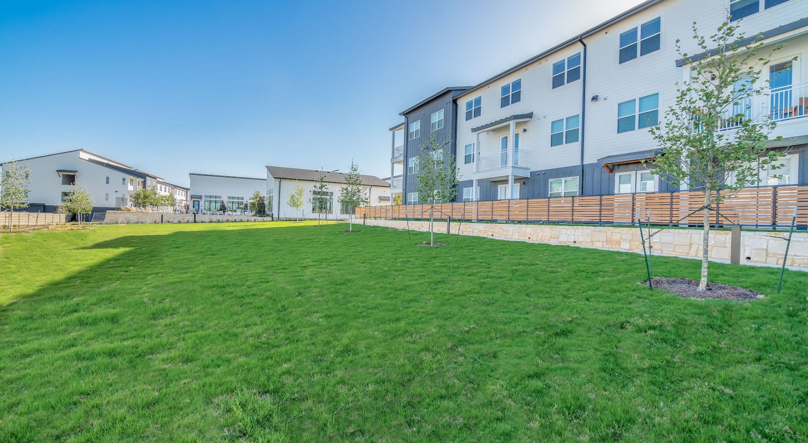 Beautiful rentals in Austin, TX Citizen House MLK